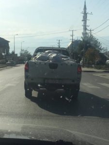 Službeno vozilo 