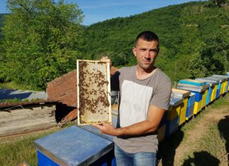 Pčelar iz Zubinog Potoka sa najboljim šumskim medom – ljubav prema pčelama i nastavak onog što je otac započeo Igor Lazarević