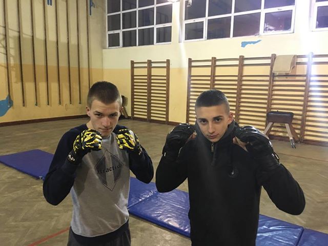 MMA Mantis
