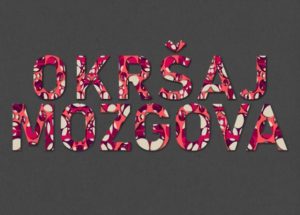 okrsaj-mozgova