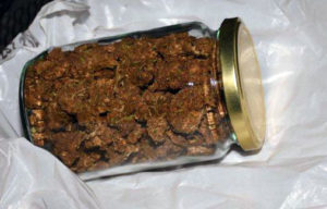 marihuana u tegli