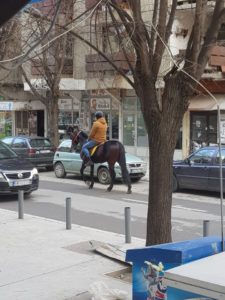 Aleksandar Arsenijević i konj