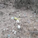 #trashtag challange