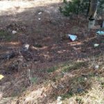 #trashtag challange
