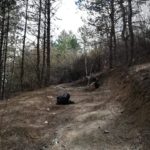 #trashtag challange