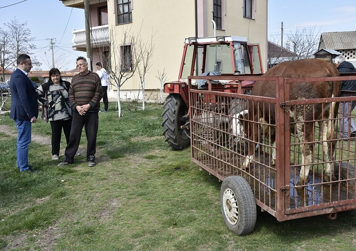 Opština Gračanica donirala kravu porodici Mitrović