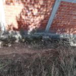 trashtag 6.4.2019