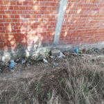 trashtag 6.4.2019