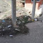 trashtag 6.4.2019