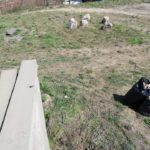 trashtag 6.4.2019
