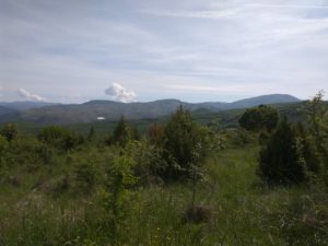 Bresnica, pogled ka dolini Ibra