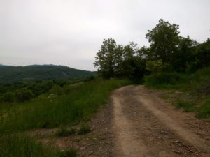Bresnica, vrh Trepčinog dimnjaka