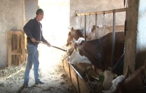 Farma Aleksandra Nedeljkovića iz Lapljeg Sela
