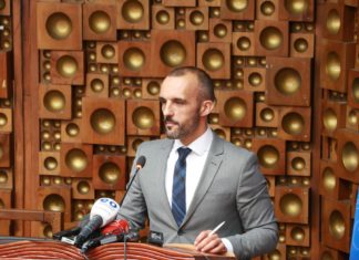 Mladenović: Žalite se ili prekinite konferenciju kada nema prevoda Slaviša Mladenović