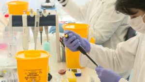 Test korona