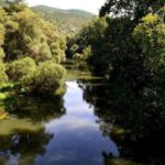 Zubin Potok: Zaštita ribljeg fonda i rečnog biodiverziteta reke Ibar Zubin Potok reka Ibar