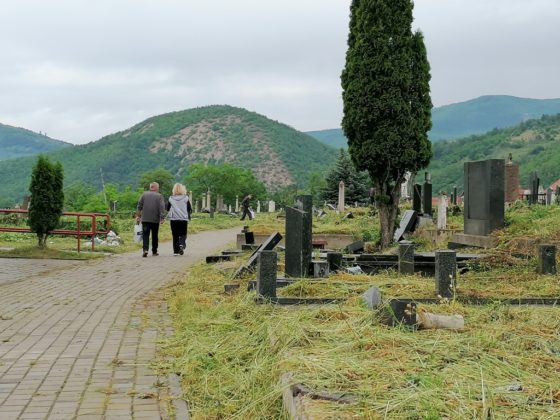Zadu&scaron;nice Mitrovica