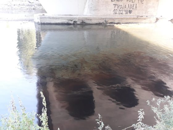 Mrlja Ibar