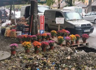 „Most ljubavi“: Hrizanteme i palete nad šutom zemlje i kanalom