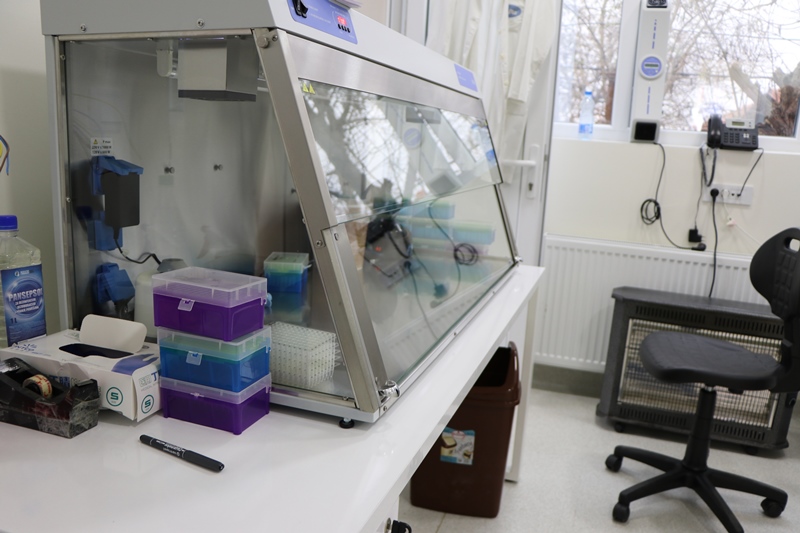 PCR Laboratorija KoSSev Korona Kosovska Mitrovica KBC