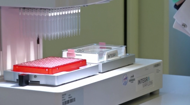Testiranje PCR