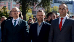 jevtić rakić simić