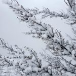 Klima101: Ekološke pobede koje su obeležile godinu iza nas, dobre vesti i iz Srbije