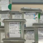 Romska inicijativa: Odluka IPŽP protivustavna i rasistička FOTO: glasačke kutije Kosovo Kallxo