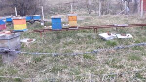 Kosnice-Ratka-Dzolica Osojane