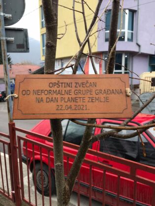 Sadnja drveća