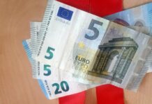 Poslanik LVV: Trinaesta plata biće 31. marta 30 evra evri pare