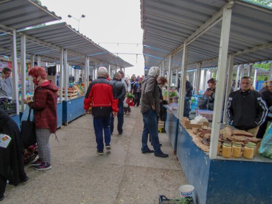 Zelena pijaca mitrovica