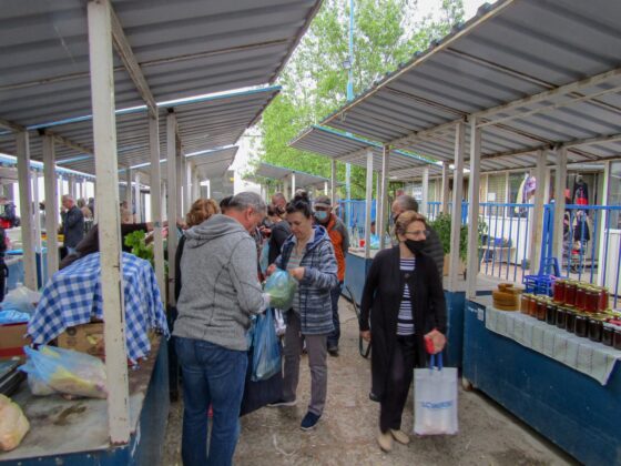 Zelena pijaca mitrovica