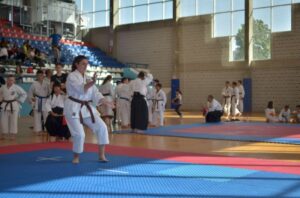 Karate Lepina