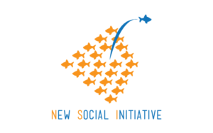 nova društvena inicijativa NDI New sociial initiative NSI