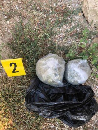 Policija Mitrovica marihuana