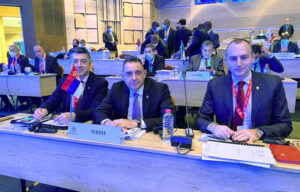Vulin interpol Istanbul