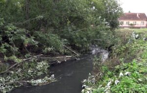 poplave