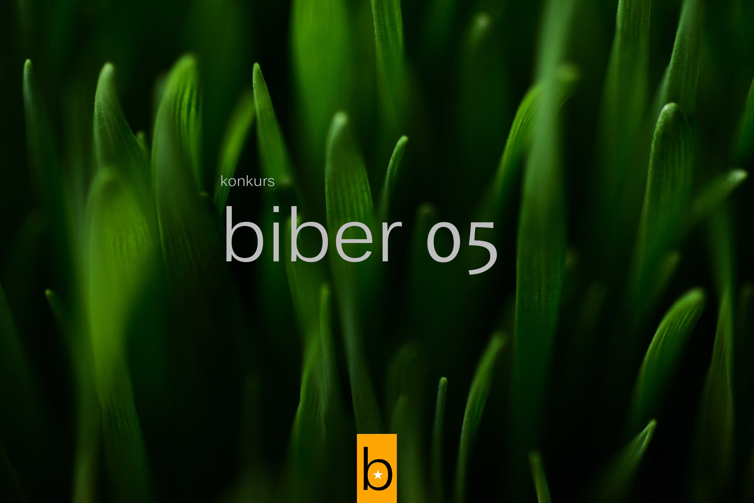 Biber 05