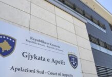 Apelacioni sud vratio na ponovno suđenje slučaj „Brezovica 1“