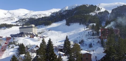 Brezovica