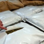 Zaplenjeno 300 kg marihuane, prekinut lanac šverca iz Albanije ka Srbiji