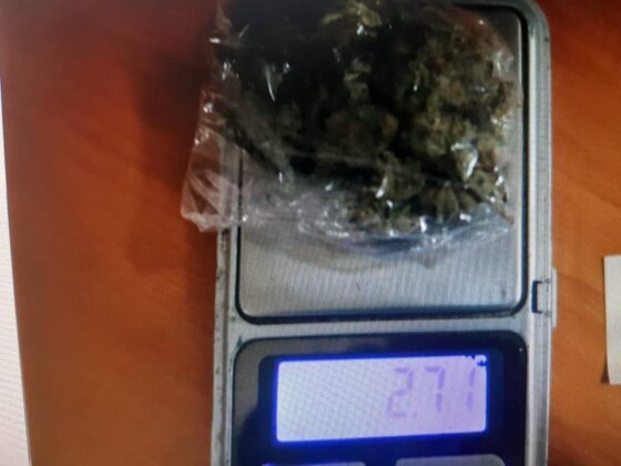 Zvečan marihuana