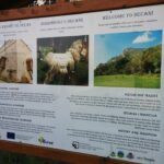 Visoki Dečani: Na tabli o „najvažnijim resursima“ u centru grada nema fotografije manastira Manastir Visoki Dečani