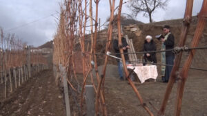 Sveti Trifun 1 Jevremović Leposavić