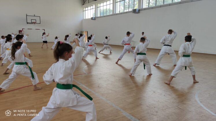 Karate klub "Sen&scaron;i"