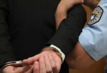 Predao se policiji u Severnoj Mitrovici, osuđen na sedam meseci zbog pokušaja krađe FOTO: Kosovska policija