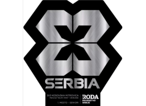 Memorijalni turnirn "Dejan Vasić"