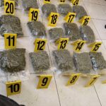 Kosovska policija zaplenila oko 18 kilograma marihuane, dvojica uhapšena, treći u bekstvu Marihuana