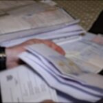 Svečlja: Od danas na snazi novi Zakon o državljanstvu, fokus na dijaspori